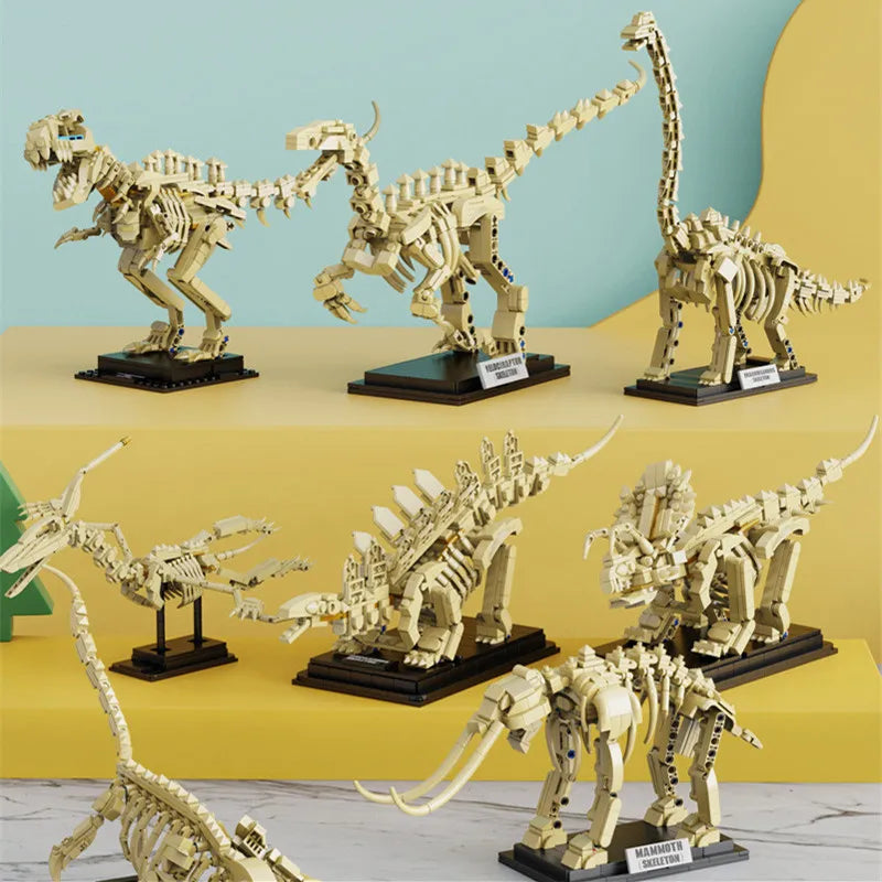 Set Squelettes Dinosaures