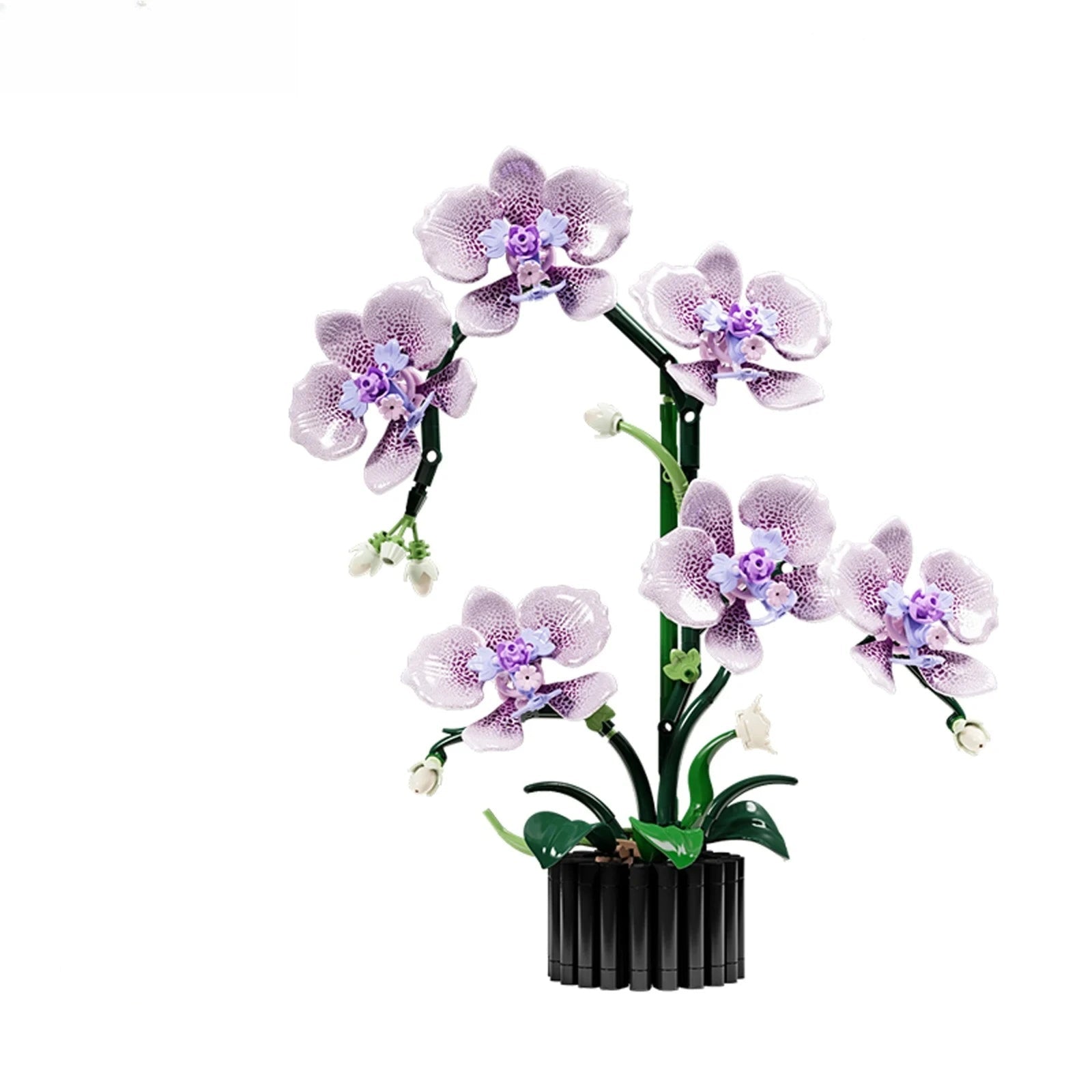 Orchidée - 619 pièces