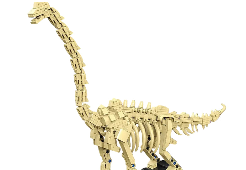 Set Squelettes Dinosaures