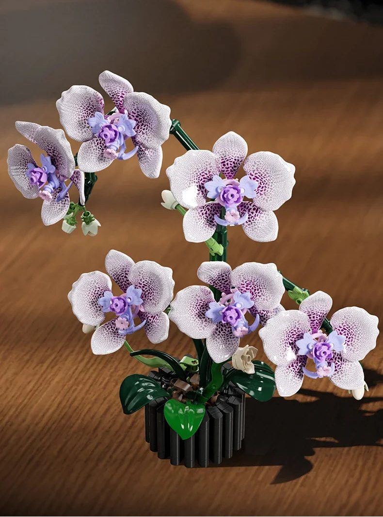 Orchidée - 619 pièces