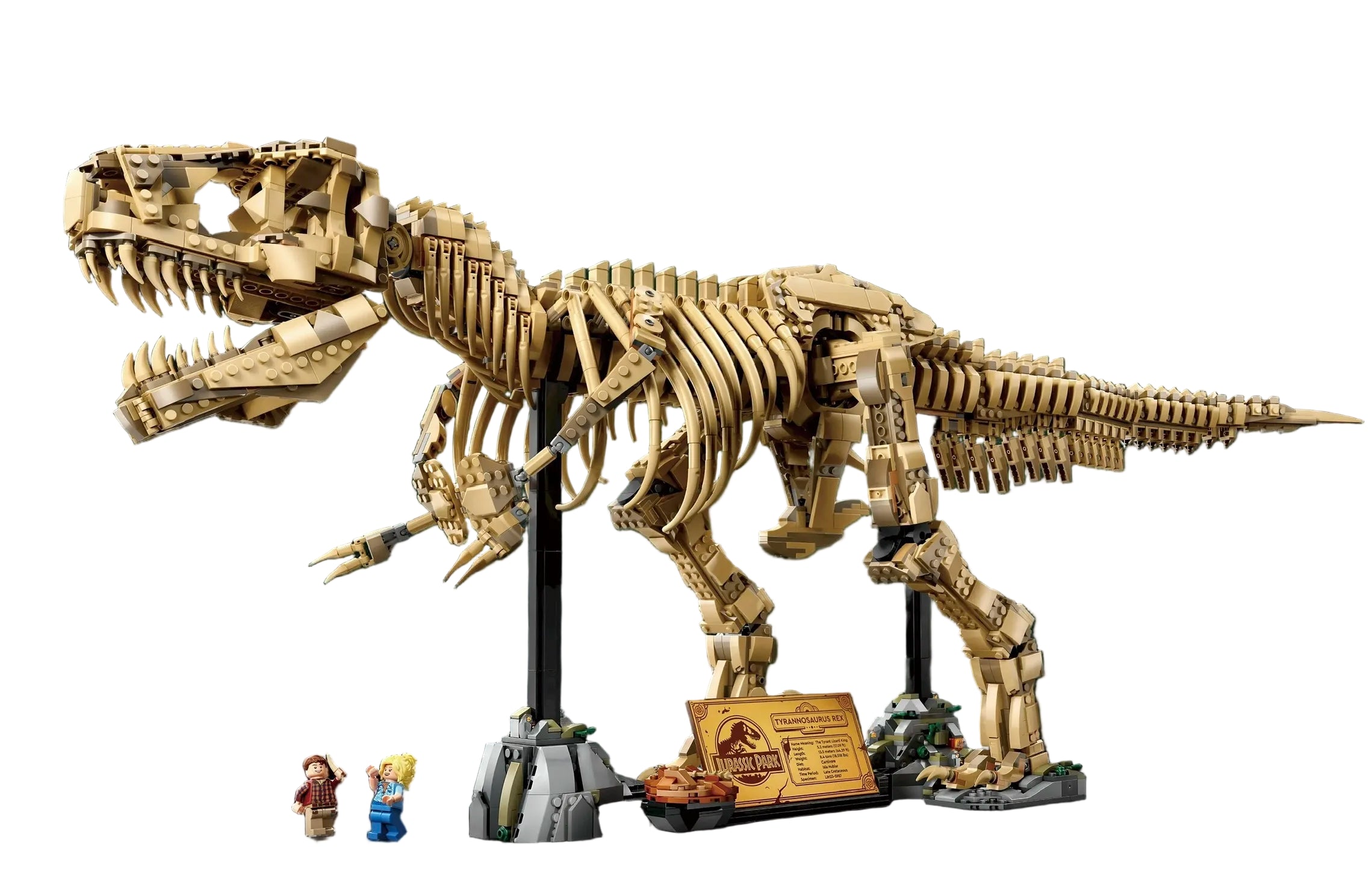 Squelette T-Rex - 3145 pièces