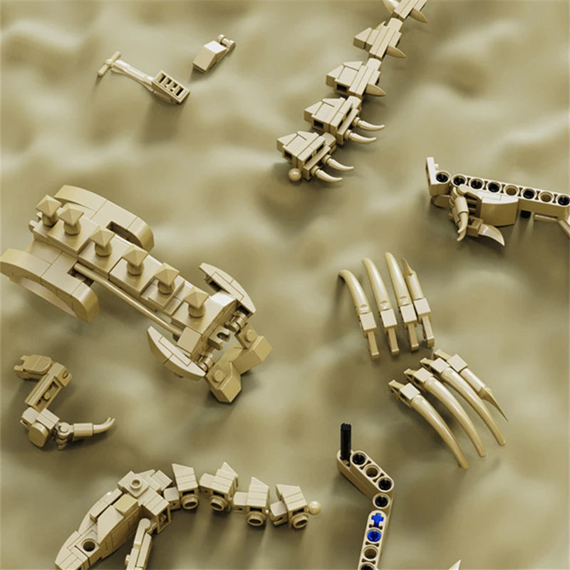 Set Squelettes Dinosaures