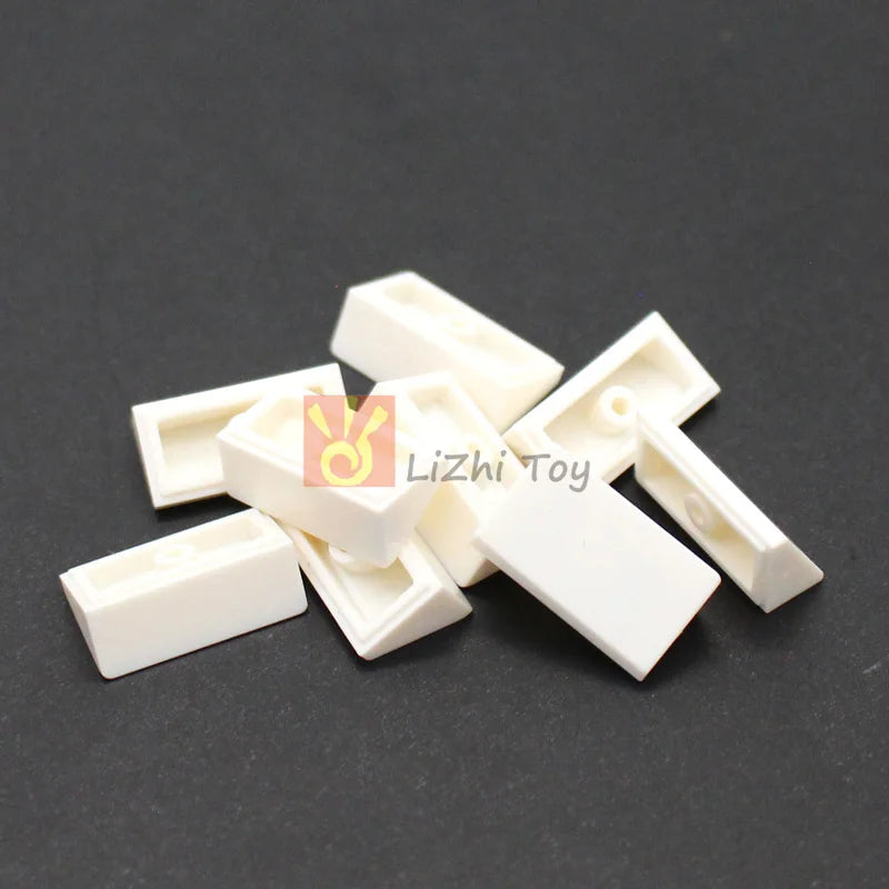 Set 100 pièces de 1x2 pentes